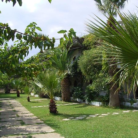 Damnoni Paradise Экстерьер фото
